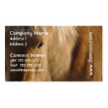 Belgian Draft Horse Business Card