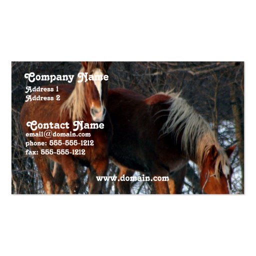 Belgian Draft Horse Business Card (front side)
