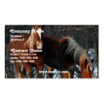Belgian Draft Horse Business Card