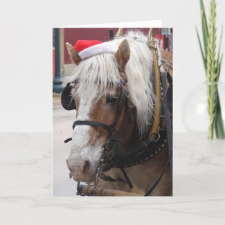 Belgian Draft Horse Christmas card