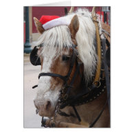 Belgian Draft Horse Christmas Cards