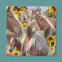 Belgian Draft Horse Collage magnets