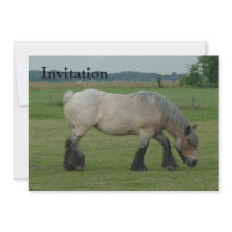 Belgian Draft Horse-color grey grazing Invitations