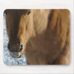 Belgian Draft Horse  Mouse Pad