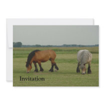 Belgian Draft Horse-one grey, one brown Invitation