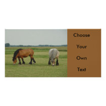 Belgian Draft Horse-one grey, one brown Photo Card