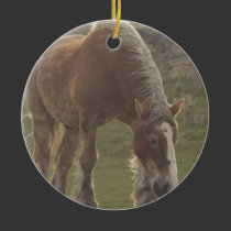 Belgian Draft Horse Ornament ornaments