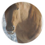 Belgian Draft Horse Plate