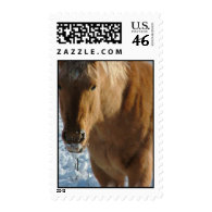 Belgian Draft Horse Postage Stamp
