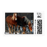 Belgian Draft Horse Postage Stamp