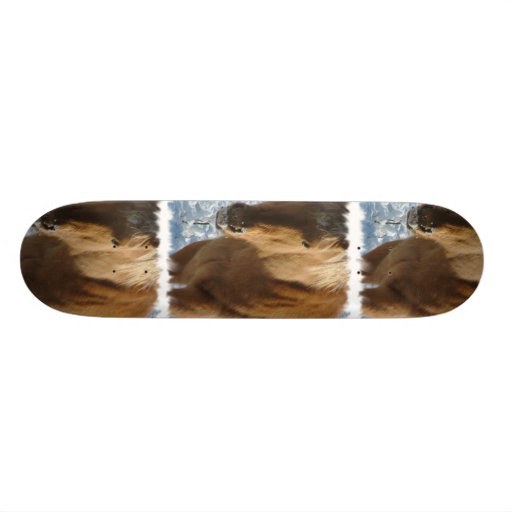 Belgian Draft Horse Skateboard
