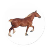 Belgian Draft Horse Sticker