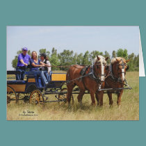 Belgian Draft Horse Wagon cards