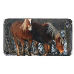 Belgian Draft Horses iTouch Case Barely There iPod Cases