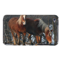 Belgian Draft Horses iTouch Case Barely There iPod Cases