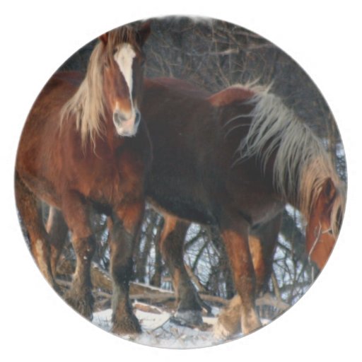 Belgian Draft Horses Plate