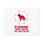 Belgian Groenendael