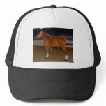 Belgian in show ring trucker hats