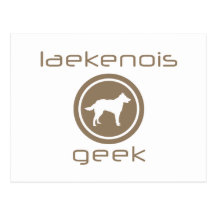 Belgian Laekenois Post Card