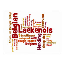 Belgian Laekenois Post Card