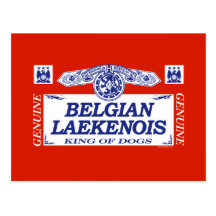 Belgian Laekenois Post Card