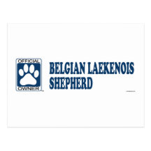 Belgian Laekenois Shepherd Blue Postcard