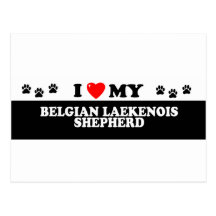 BELGIAN LAEKENOIS SHEPHERD_ POST CARDS
