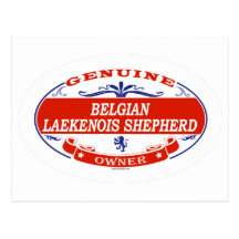 Belgian Laekenois Shepherd  Postcard