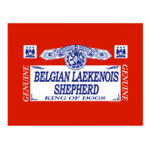 Belgian Laekenois Shepherd Postcards
