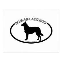 Belgian Laekenois Silhouette Black Postcard
