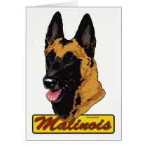 Belgian Malinois Card