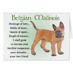 Belgian Malinois Gifts card