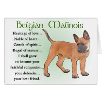 Belgian Malinois Gifts Greeting Cards