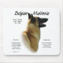 Belgian Malinois History Design Mouse Pad