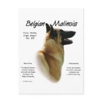 Belgian Malinois History Design Postcard