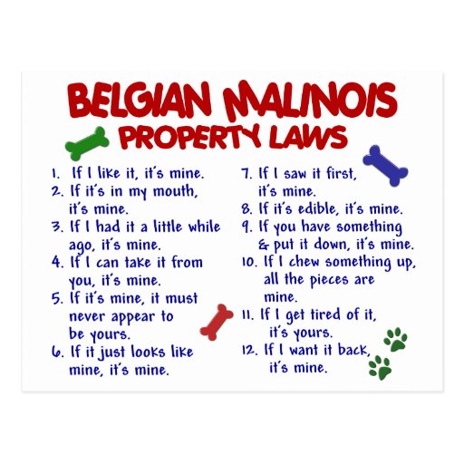 BELGIAN MALINOIS PL2 POSTCARD
