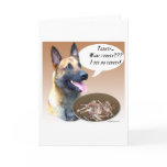 Belgian Malinois Turkey Cards
