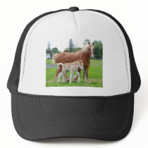 Belgian Mare and Filly Hat