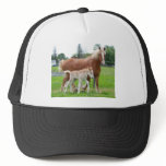 Belgian Mare and Filly hats