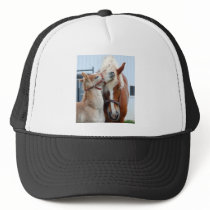 belgian Mare and Filly Mesh Hat