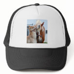 belgian Mare and Filly hats