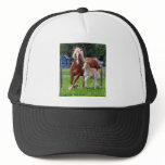 belgian Mare and Filly Hat