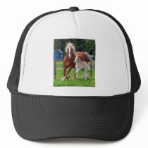 belgian Mare and Filly Hat