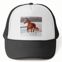 Belgian Mare and Filly Hat