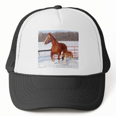 Belgian Mare and Filly Hat by randolph259
