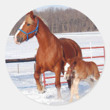 Belgian Mare and Filly Round Sticker