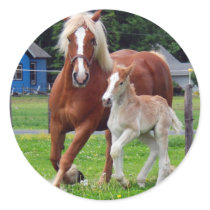 belgian Mare and Filly Stickers