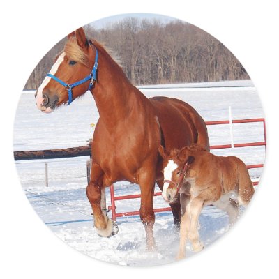 Belgian Mare and Filly Round Sticker by randolph259