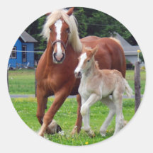 belgian Mare and Filly Stickers