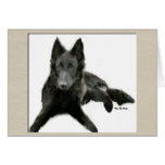 Belgian Sheepdog Gifts Greeting Cards
